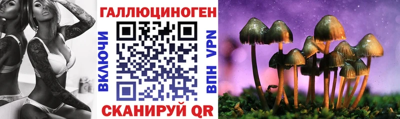 Псилоцибиновые грибы GOLDEN TEACHER Любим