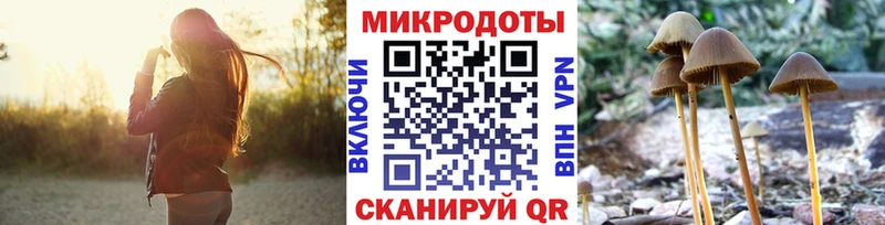 Псилоцибиновые грибы Psilocybine cubensis цены Любим