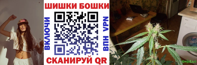 Канабис сатива Любим